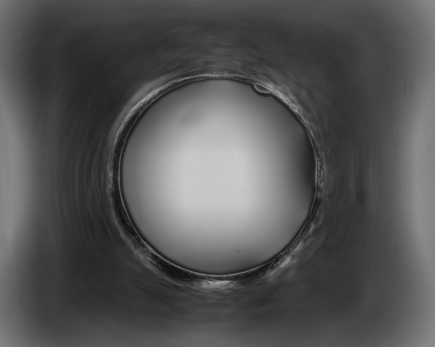 X0000083000055200703020912