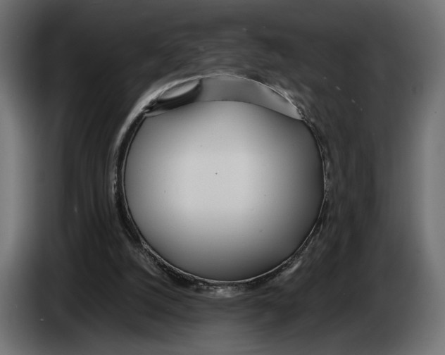 X0000083000056200703020912