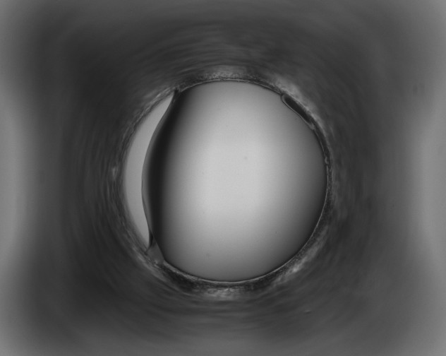 X0000083000057200703020912