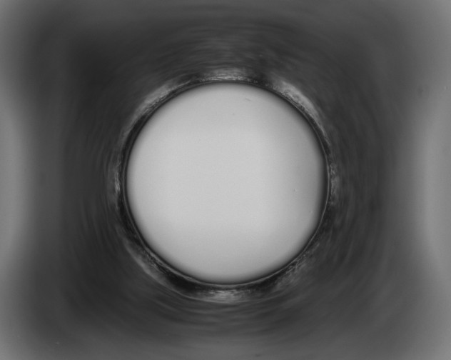 X0000083000059200703020912