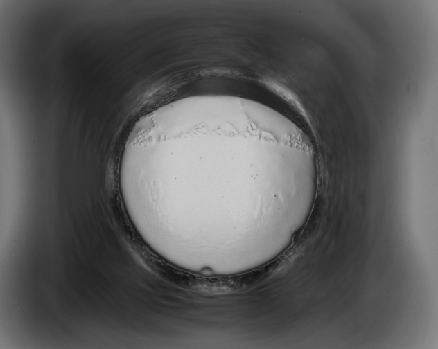 X0000083000061200703020912