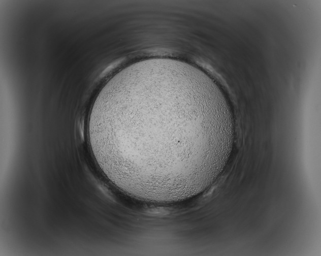 X0000083000062200703020912