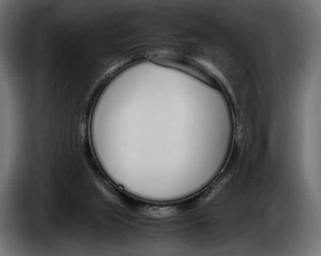 X0000083000063200703020912