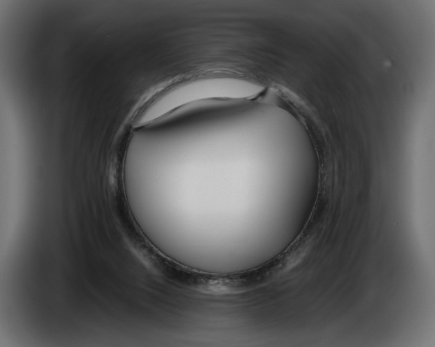 X0000083000064200703020912