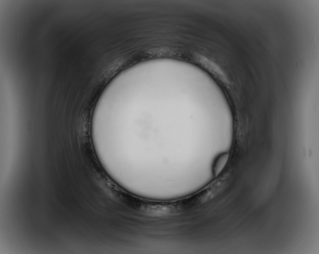 X0000083000065200703020912