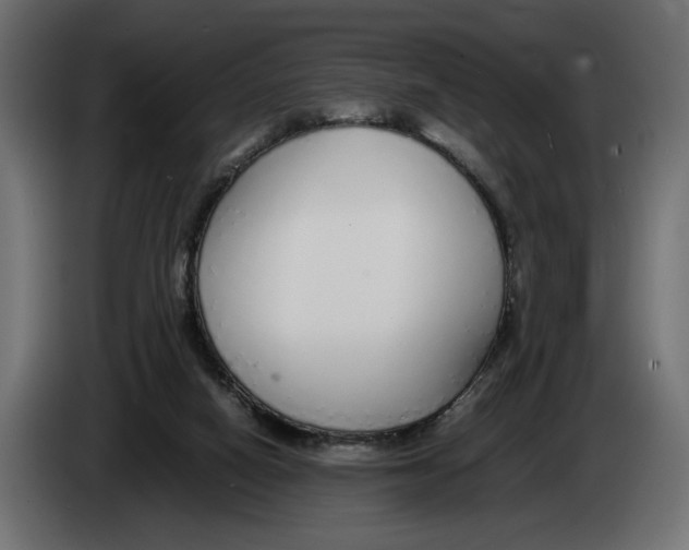 X0000083000066200703020912