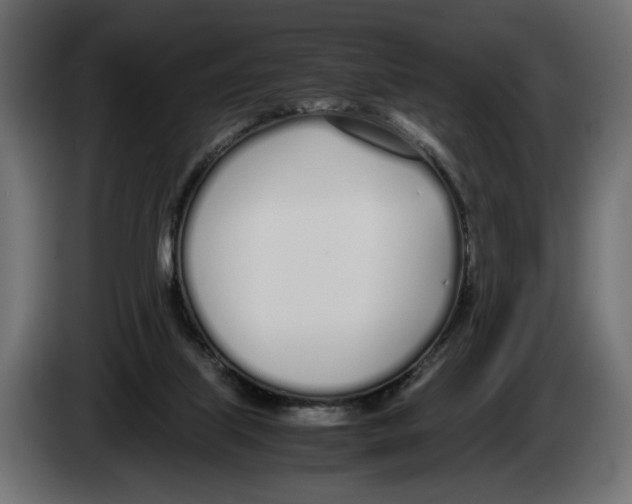 X0000083000067200703020912