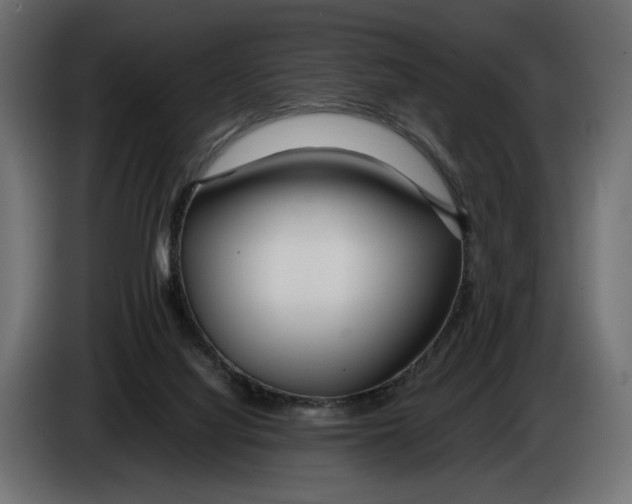 X0000083000068200703020913