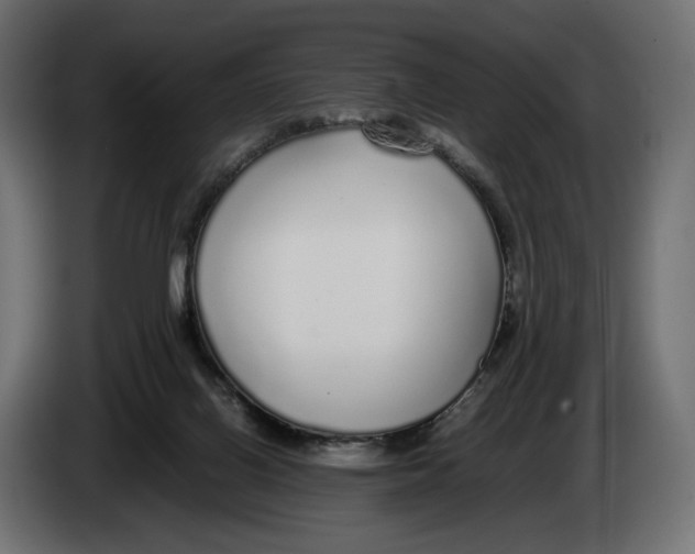 X0000083000070200703020913