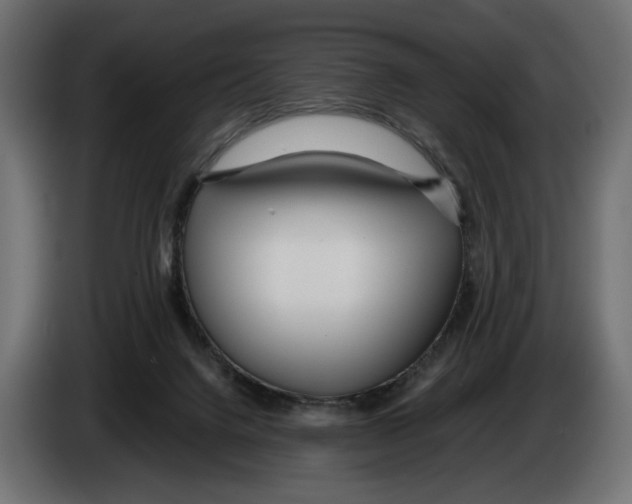 X0000083000072200703020913