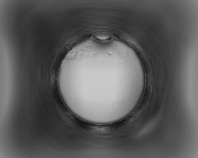 X0000083000073200703020913