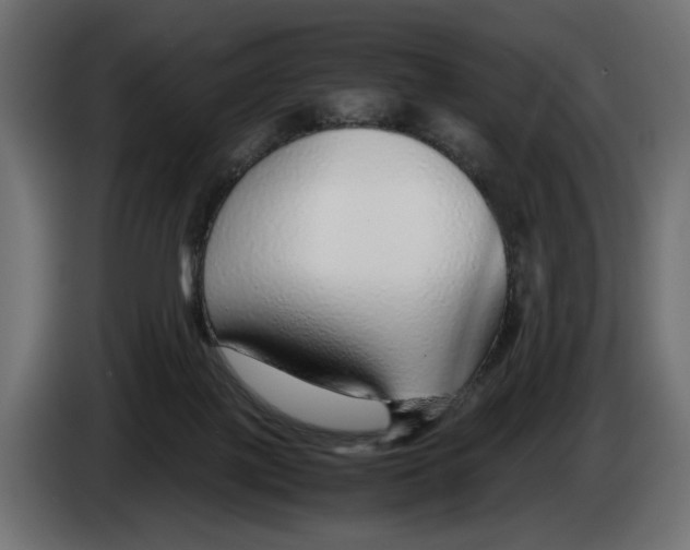 X0000083000075200703020913