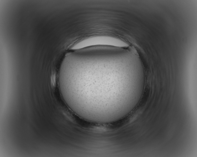 X0000083000076200703020913