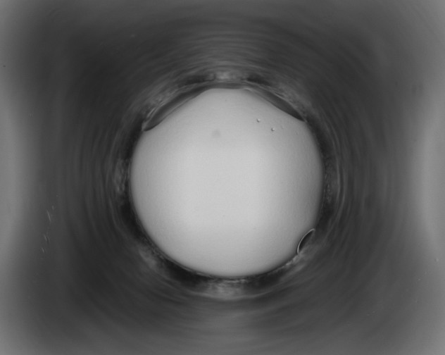 X0000083000078200703020913