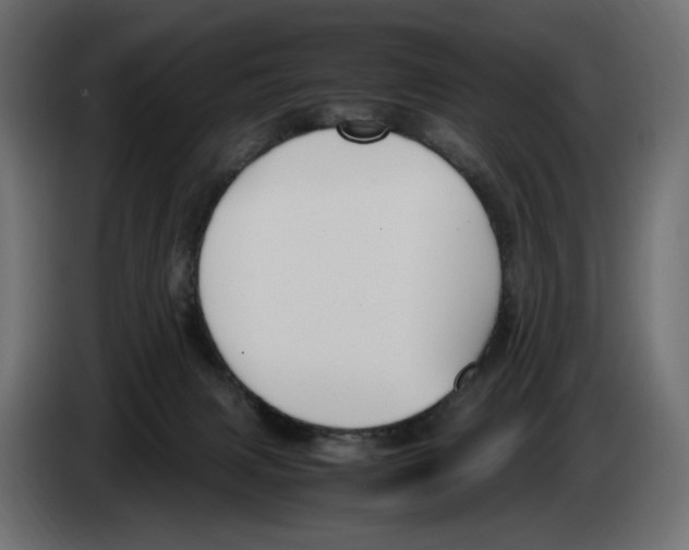 X0000083000079200703020913