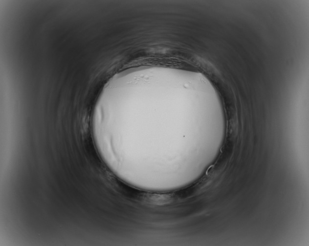 X0000083000081200703020913