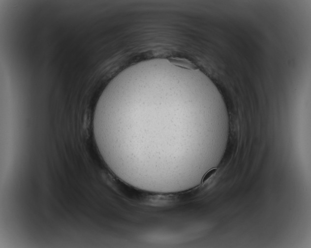 X0000083000082200703020913