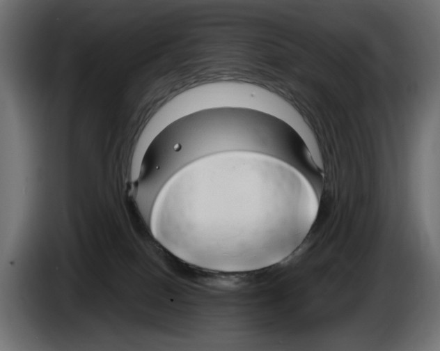 X0000083000086200703020913