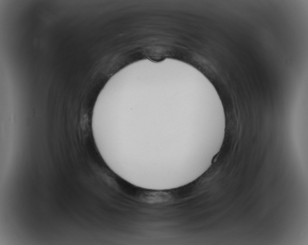 X0000083000087200703020913