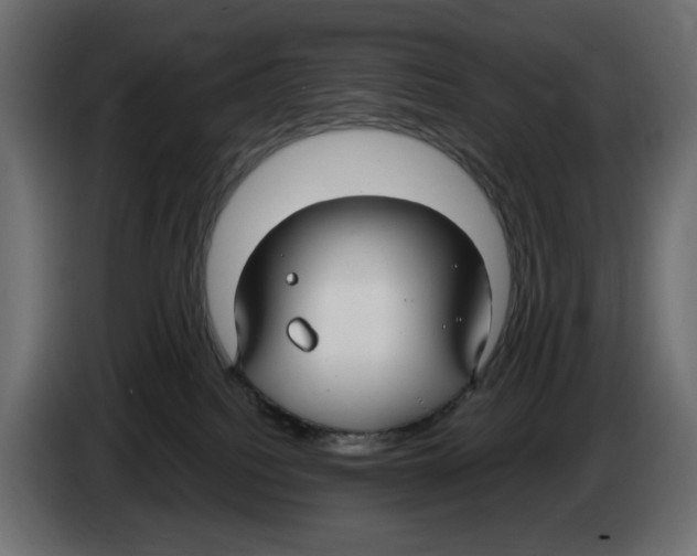 X0000083000088200703020913