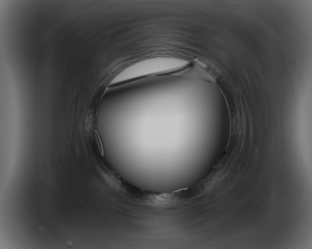 X0000083000092200703020913