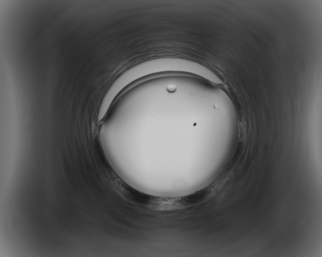 X0000083000093200703020913