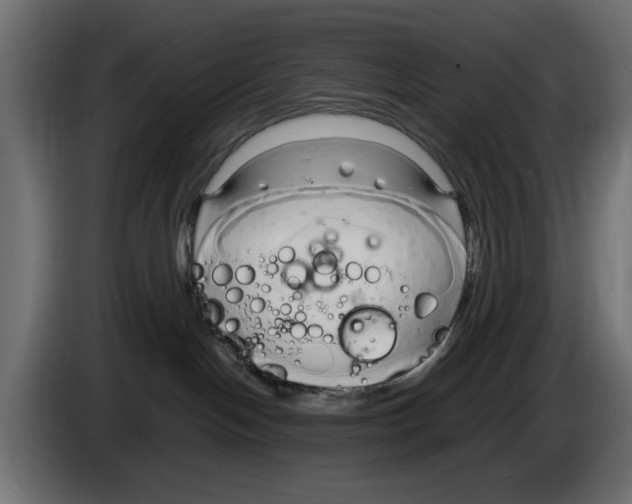 X0000083000094200703020913