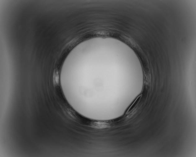 X0000083000095200703020913