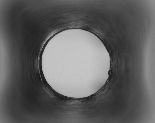 X0000083000100200703020912