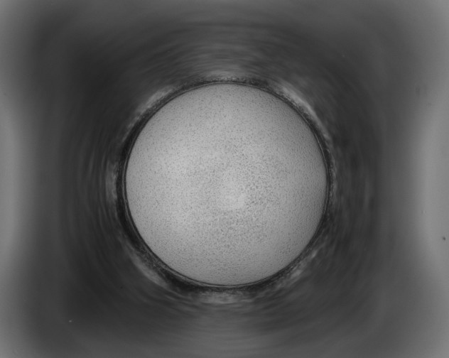 X0000083000106200703020912