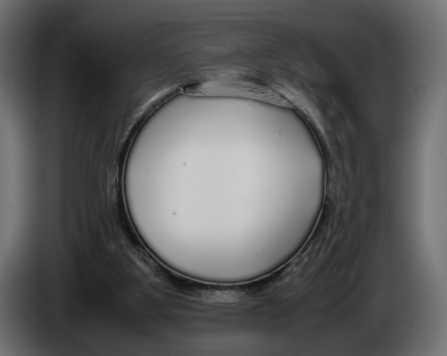 X0000083000107200703020912