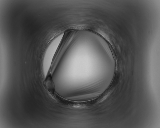 X0000083000109200703020912