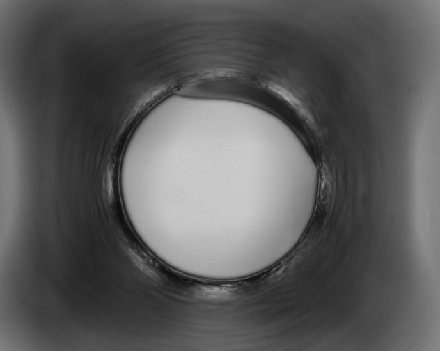 X0000083000110200703020912