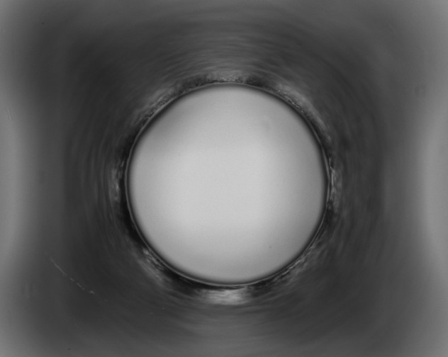 X0000083000114200703020912