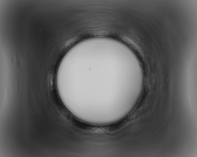 X0000083000115200703020912