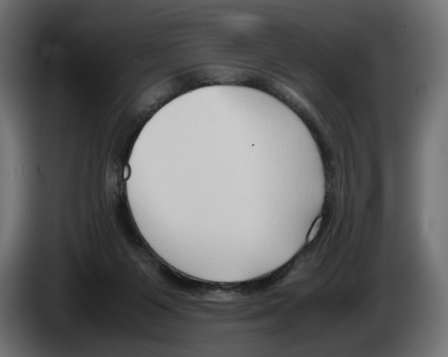 X0000083000119200703020912