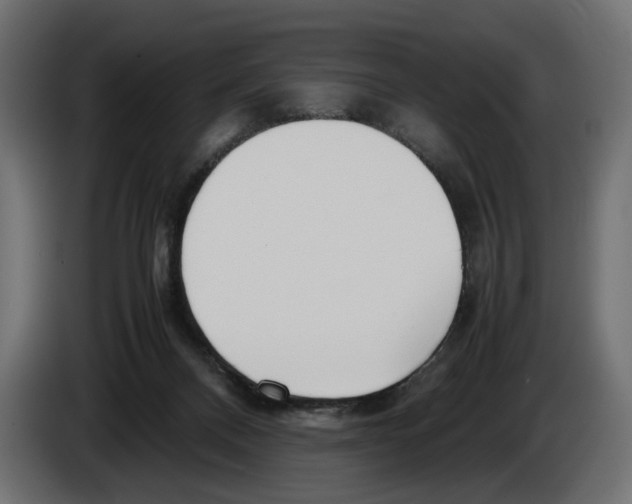 X0000083000120200703020912