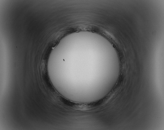 X0000083000121200703020912