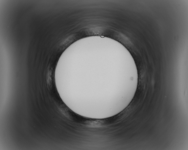 X0000083000122200703020912