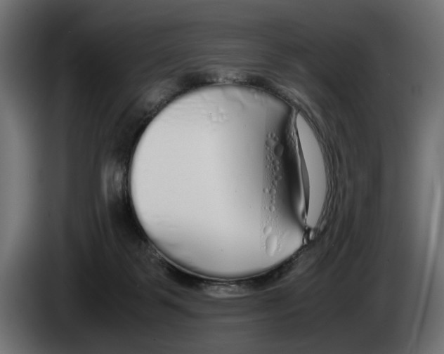 X0000083000123200703020912