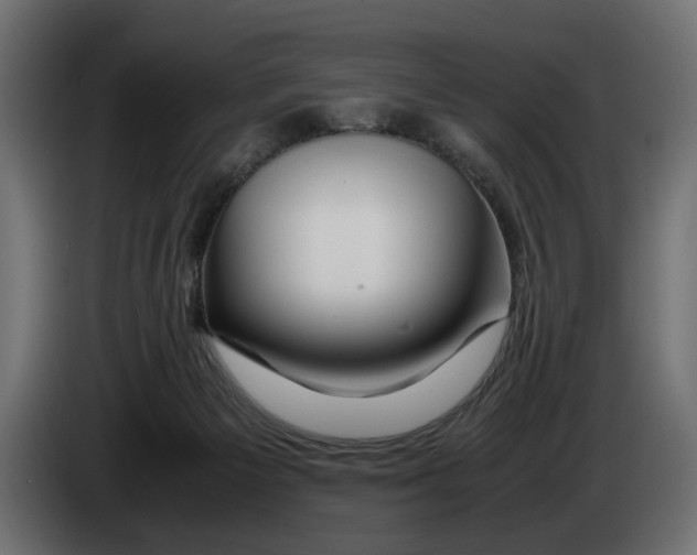 X0000083000125200703020912