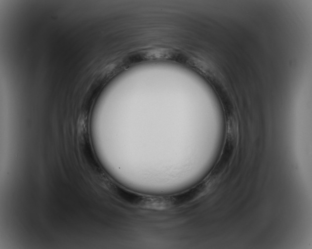 X0000083000127200703020912