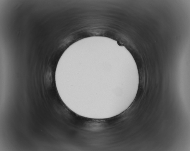 X0000083000128200703020912