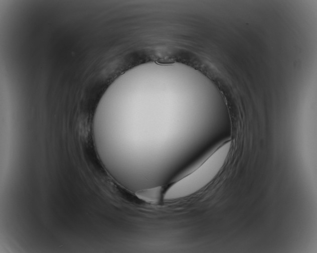 X0000083000129200703020912