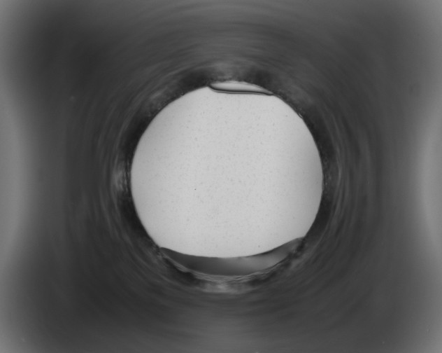 X0000083000137200703020912