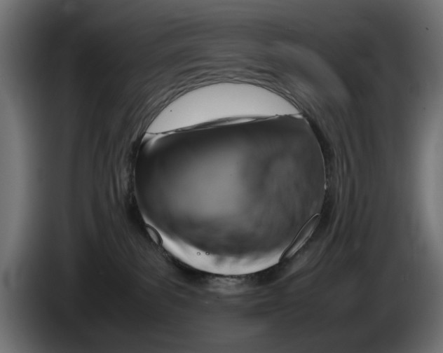 X0000083000139200703020912