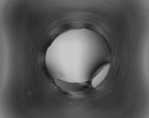 X0000083000141200703020912