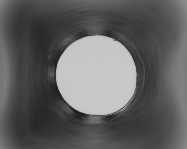 X0000083000144200703020912