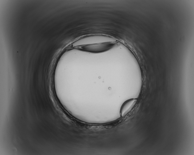 X0000083000145200703020911