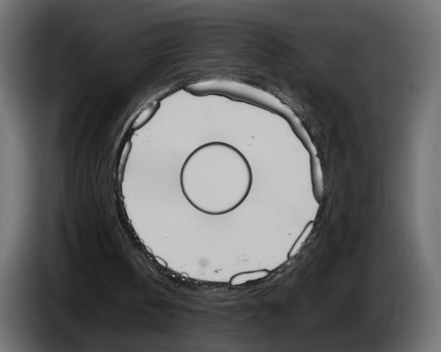 X0000083000146200703020911